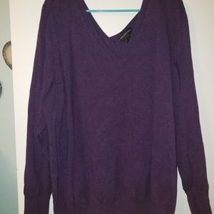 Lane Bryant Purple v-neck sweater